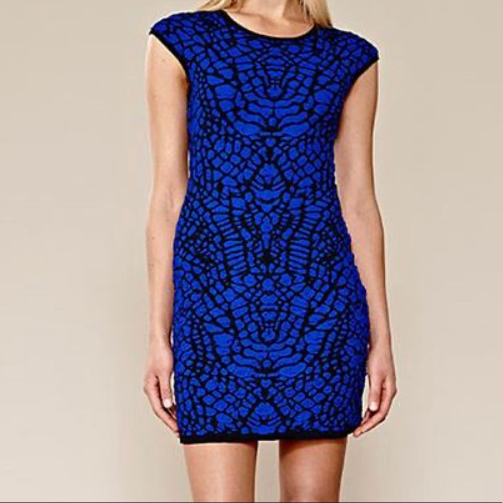 Julia Jordan Shatter sheath dress